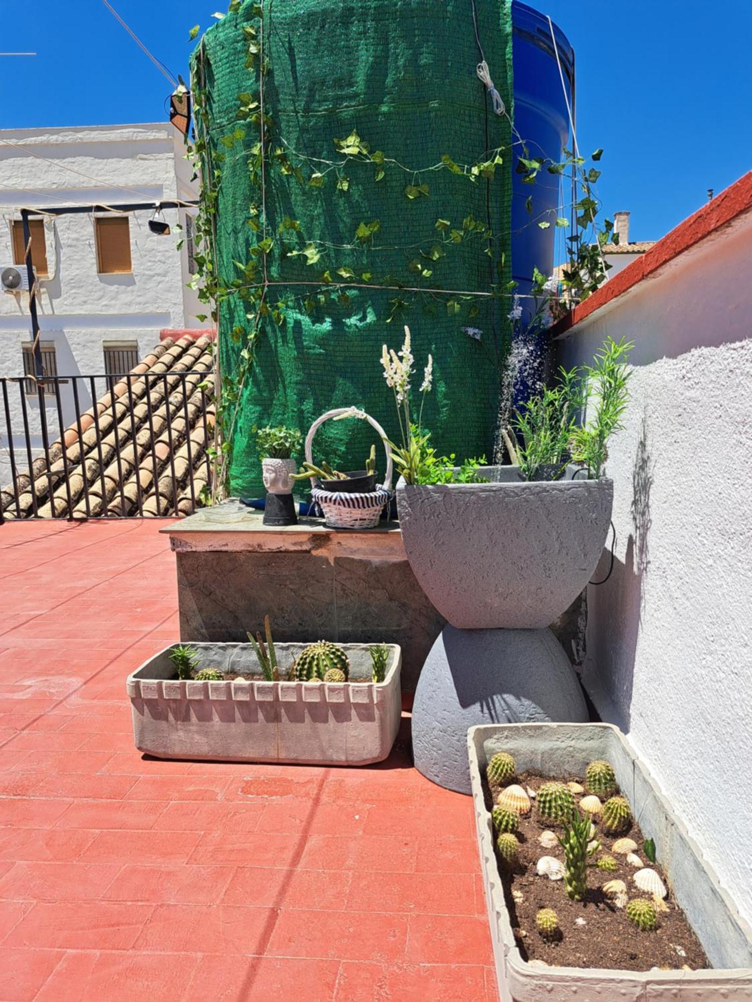 Casa Paloma Appartement Jaén Buitenkant foto